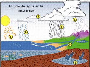 ciclo-3