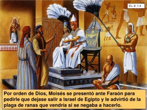 exodo-plagas-15-728