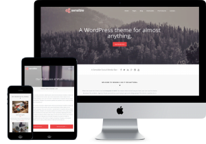 theme wordpress