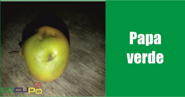 Por que la `papa se pone verde